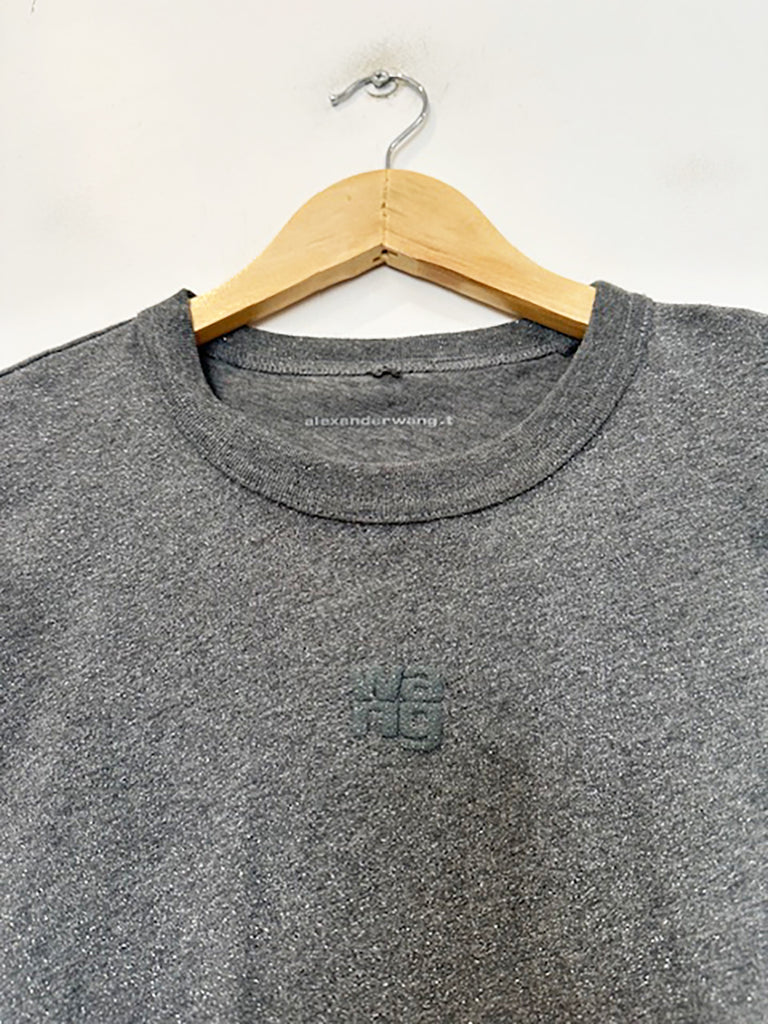 T ALEXANDER WANG