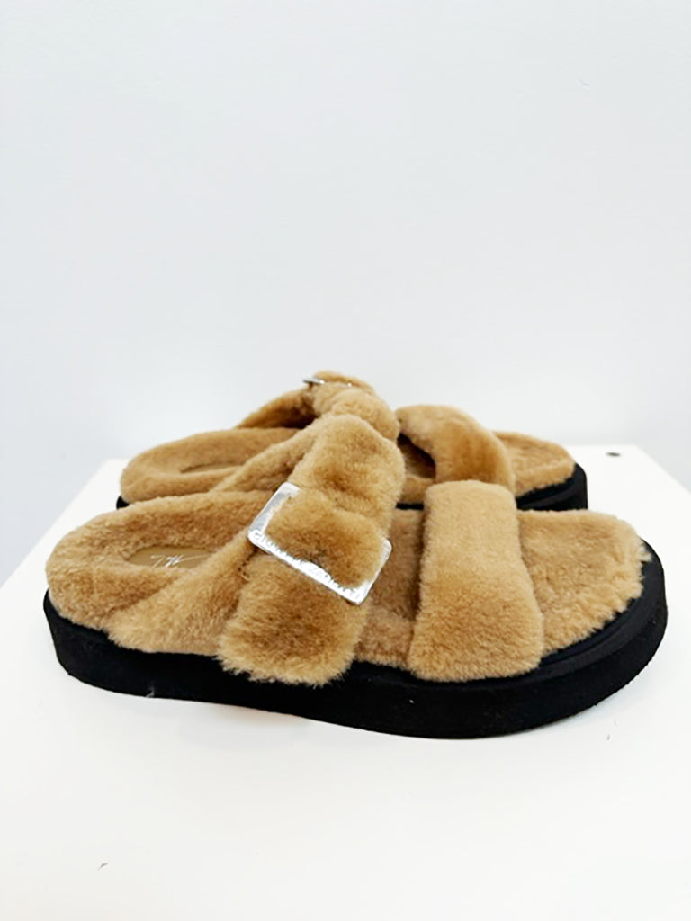 GIUSEPPE ZANOTTI